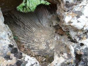 Sabalites Calatañazor 1.jpg